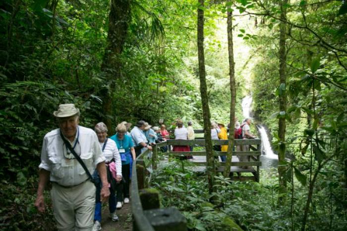 Walking tour through Costa Rican jungle